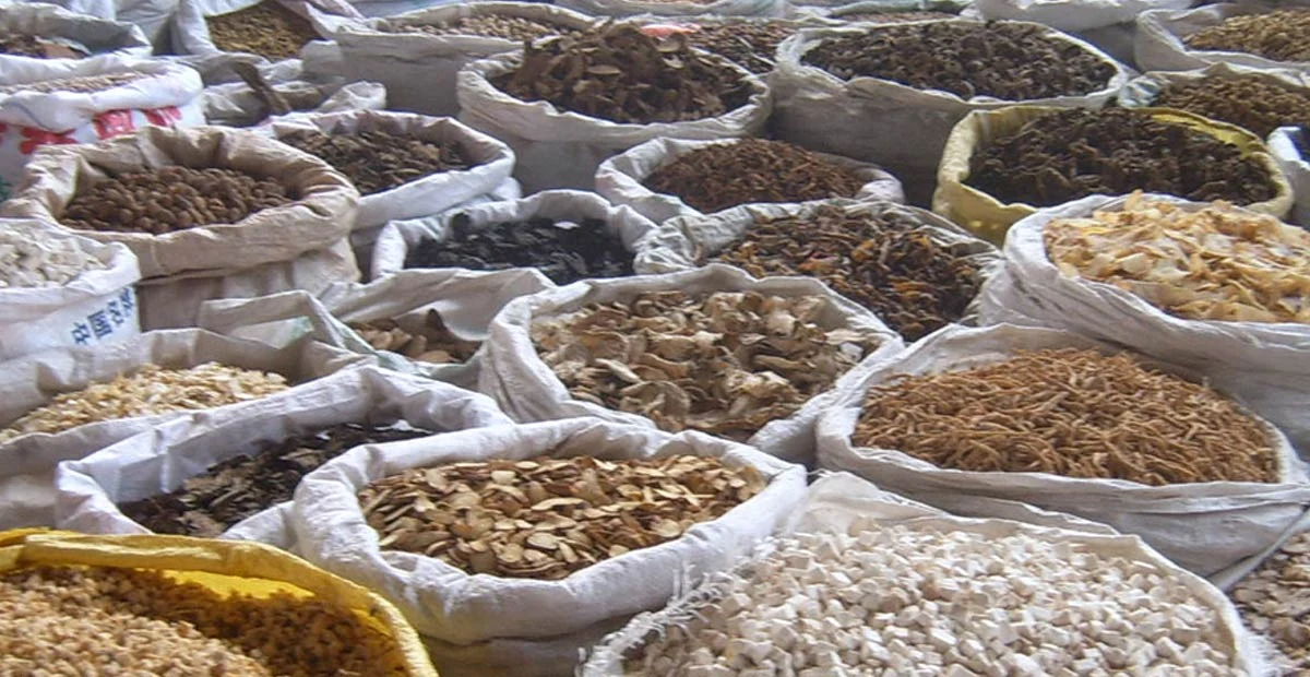 Closeup of herbs in bags set next to each other.