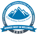 2020 ICAA NuStep Pinnacle and Beacon Award