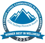 2020 ICAA NuStep Pinnacle and Beacon Award
