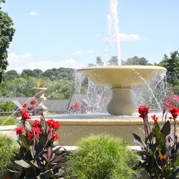 Outdoor fountain surrounded by flowers