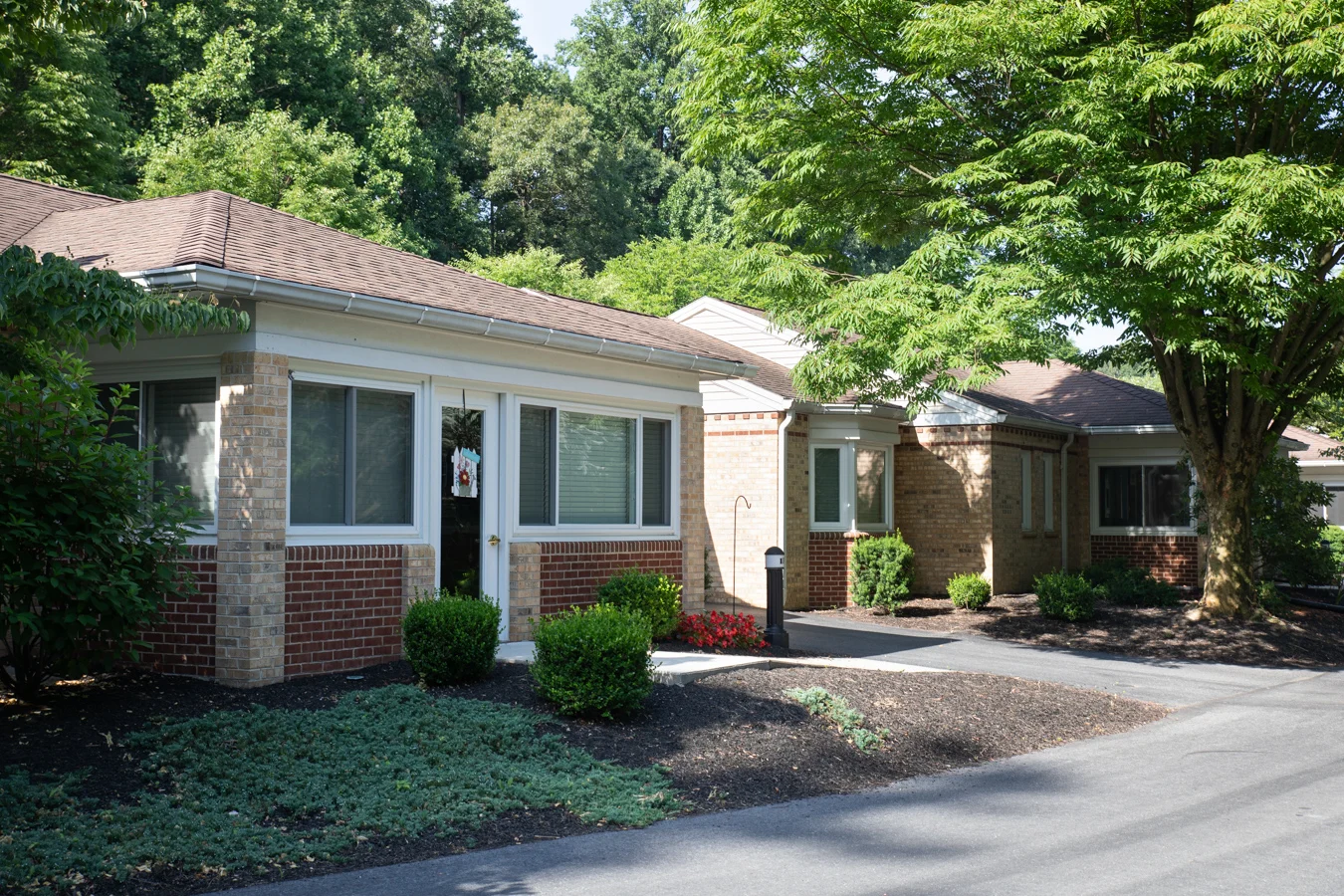 2V9A1361 Cozy homes along a tree-lined street.