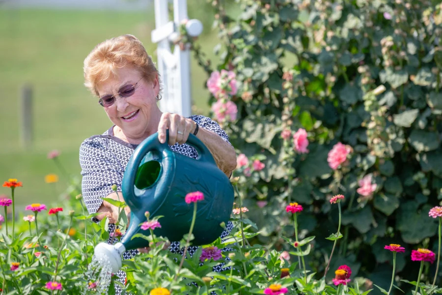 858A2033 Smiling woman using a watering can to water flowers outdoors.